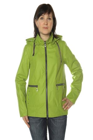 Ветровка  -  цвет