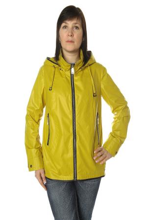 Ветровка  -  цвет