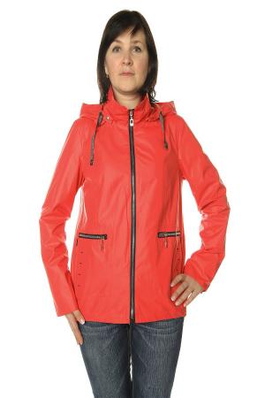 Ветровка  -  цвет