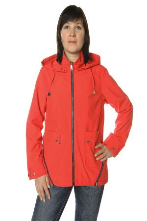 Ветровка  -  цвет