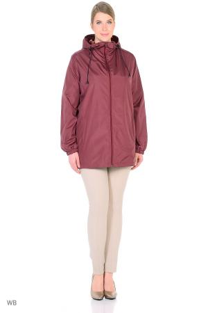 Ветровка  -  цвет