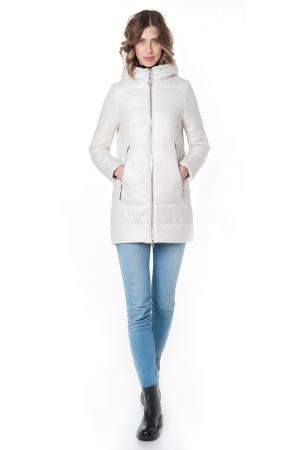 Куртка WINTERRA