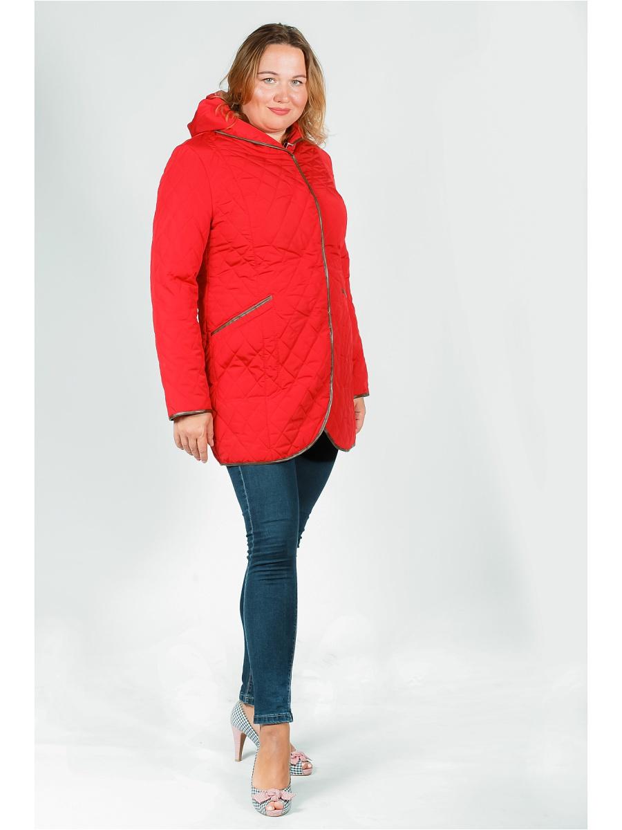 Куртка  -  цвет