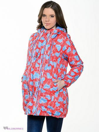 Куртка Ехидна