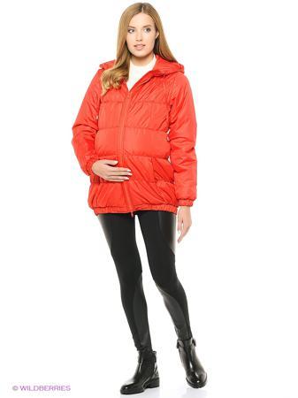 Куртка Адель