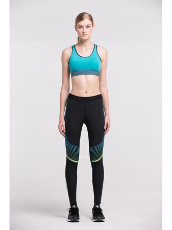 Леггинсы VANSYDICAL