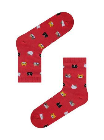 Носки SOXshop