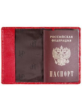 Обложка для документов Jane's Story