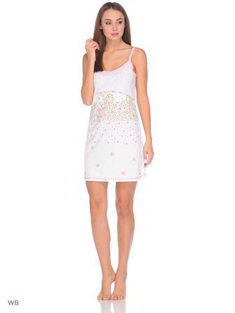 Очки Рехина