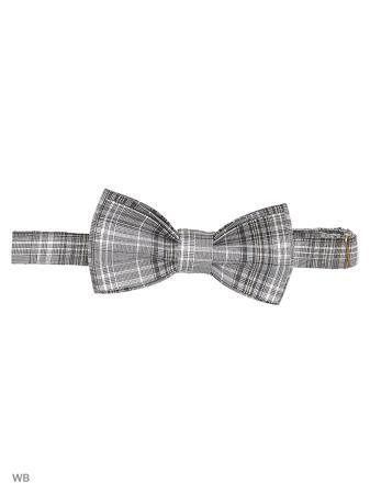 Галстук Magnetiq