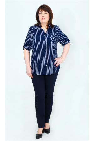 Поло  -  цвет