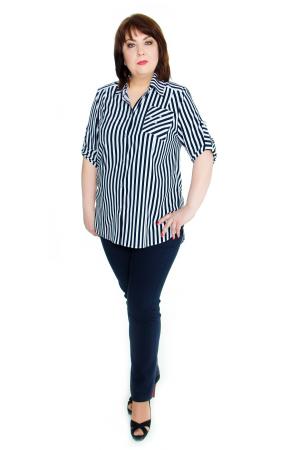 Поло  -  цвет