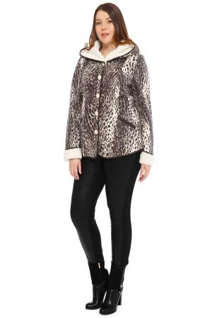 Куртка  - синий цвет