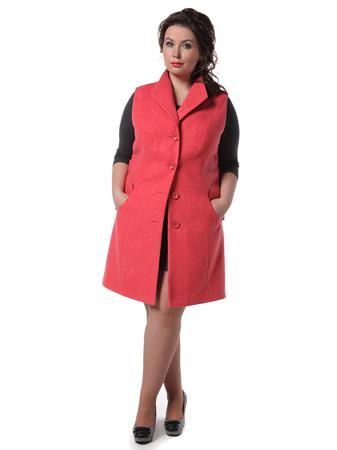 Пальто DizzyWay