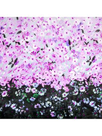 Палантин Sabellino