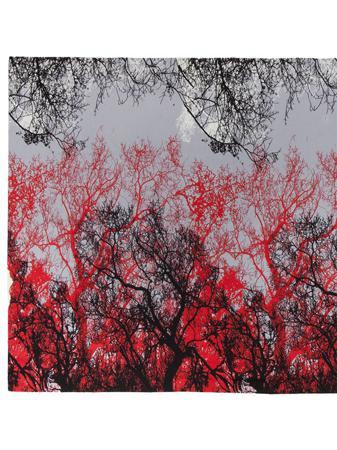 Палантин Labbra