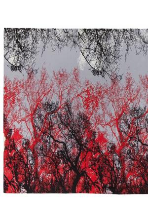 Палантин Labbra