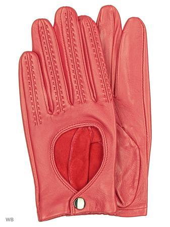 Перчатки WITTCHEN