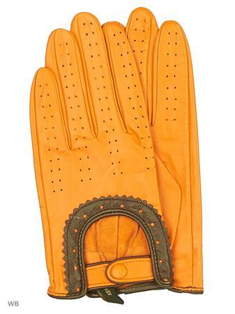 Перчатки WITTCHEN