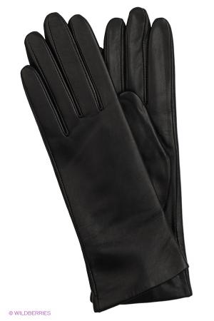 Перчатки Labbra