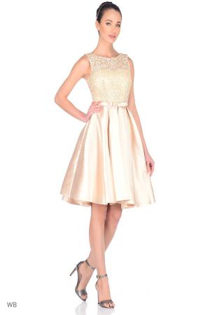 Платье X'Zotic