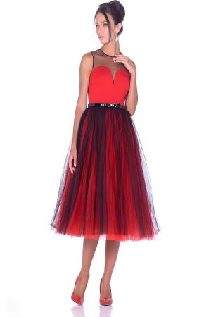 Платье X'Zotic