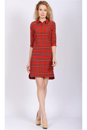 Платье Modaleto