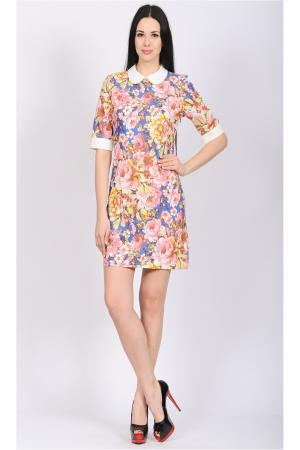 Платье Modaleto