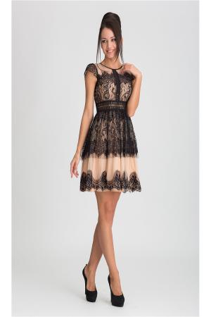 Платье X'Zotic