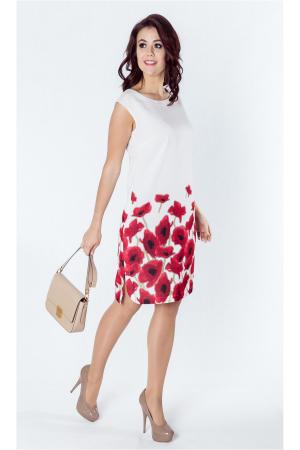 Платье  -  цвет