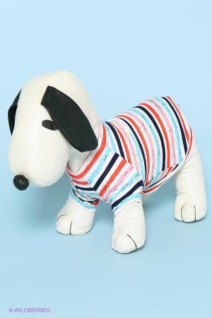 Платье  - белый цвет