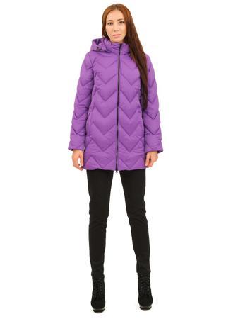 Пуховик DOCTOR E