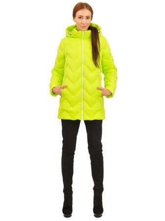 Пуховик DOCTOR E