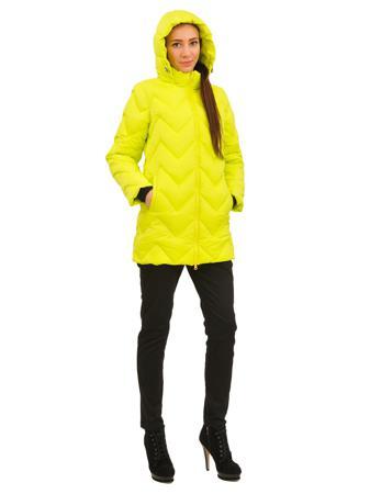 Пуховик DOCTOR E