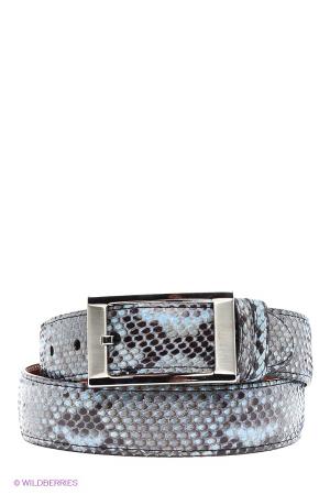 Юбка  - черный цвет