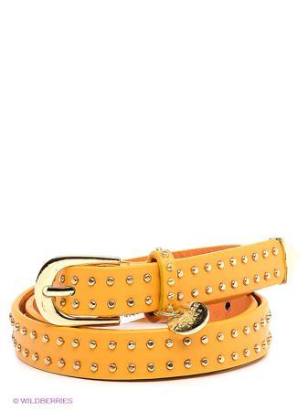 Ремень TOM FARR