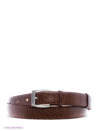 Ремень Olio Rosti