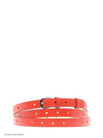 Ремень Olio Rosti