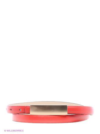 Ремень Vitacci