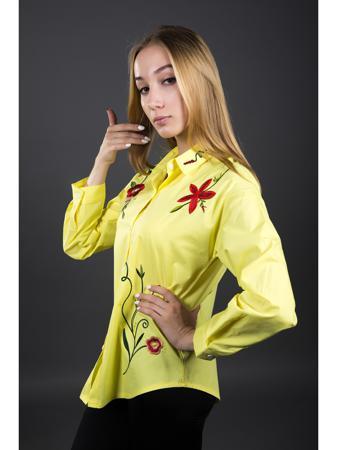 Рубашка Fronzoli
