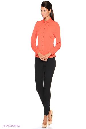 Блузка  -  цвет