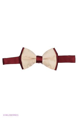 Шарф Alex DANDY