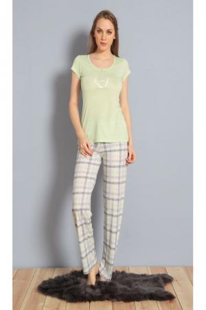 Костюм  -  цвет