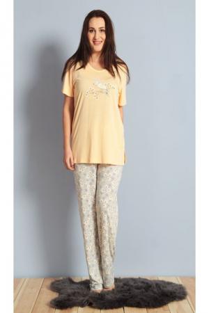 Костюм  -  цвет