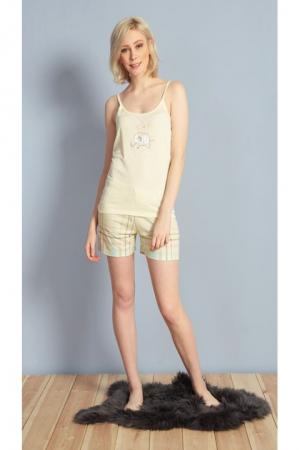 Костюм  -  цвет