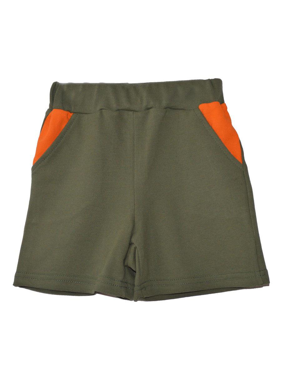 Шорты  -  цвет