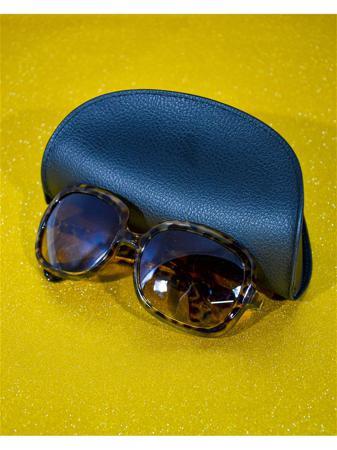 Солнцезащитные очки Bizon