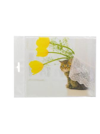 Солнцезащитные очки Germes