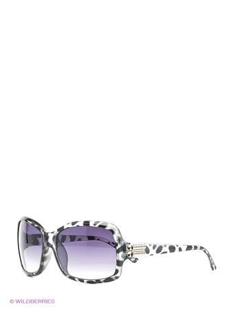 Солнцезащитные очки Vittorio Richi