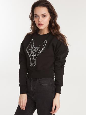 Свитшот FreeSpirit